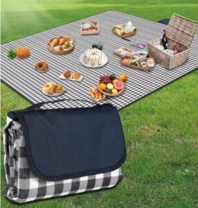 image of check design picnic blanket laid out