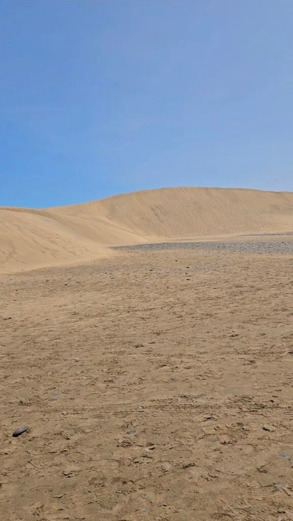 Image of Mas Paloma's Sand dunes