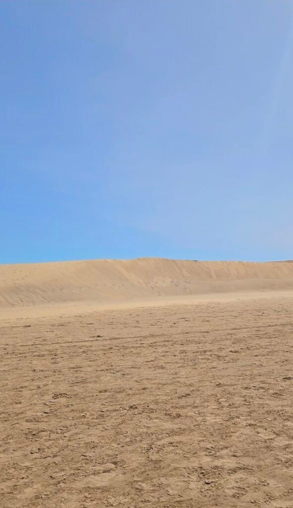 Image of Mas Paloma's Sand dunes