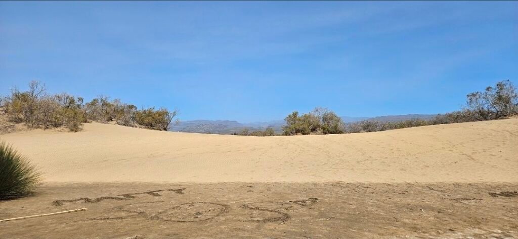 image of Mas Palomas dunes trail
