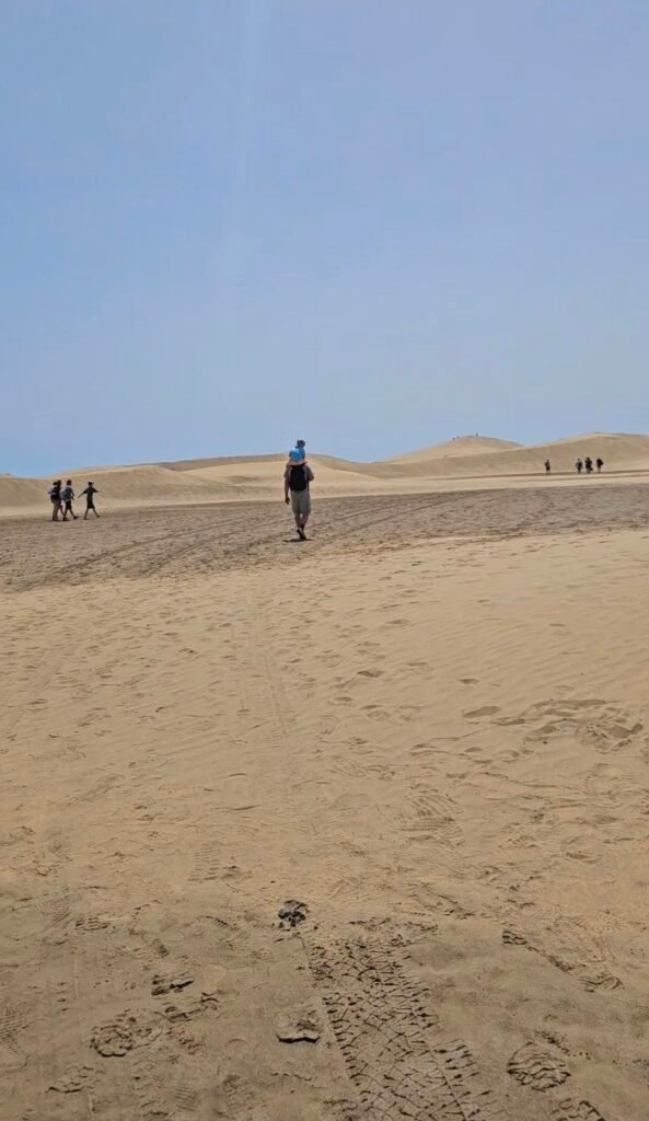 Image of Mas Paloma's Sand dunes