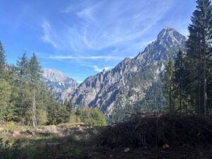 Rocky mountains and green forest in Gesäuse National Park, Austria